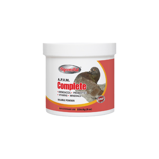 Aminoacids-probiotics-pigeons-interfarma