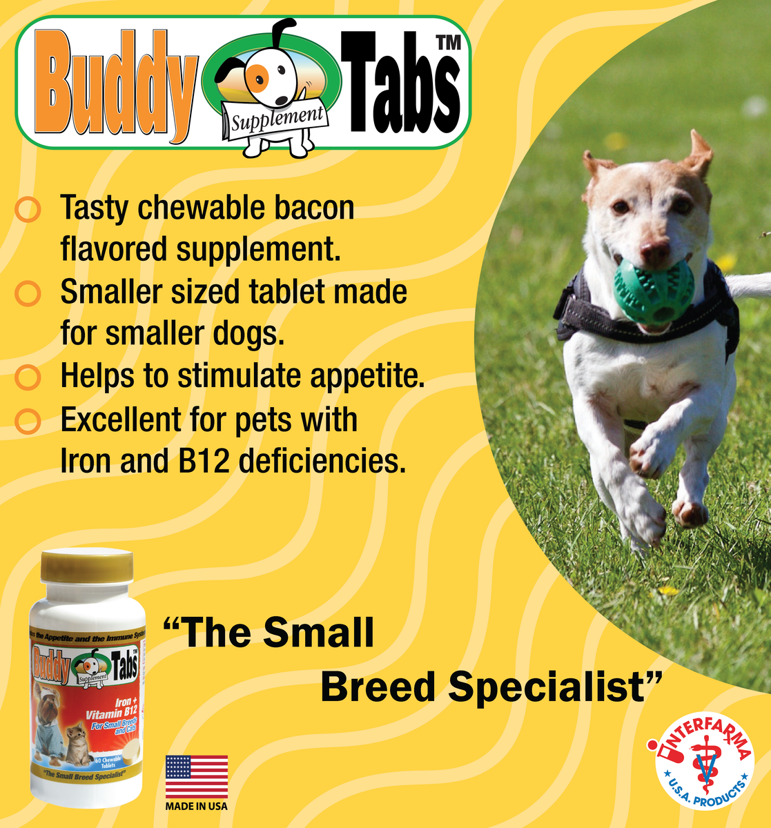 Iron Supplement for small dogs with Anemia Buddy Tabs Interfarma Animal Health Interfarma USA