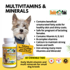 Buddy_Tabs_dogs_multivitamins_and_minerals.1
