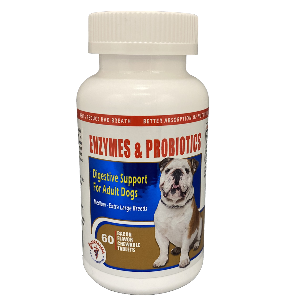 Well & good digestive enzymes & probiotics store chewable dog tablets