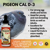 Pigeon_Cal_D-3-interfarma.1