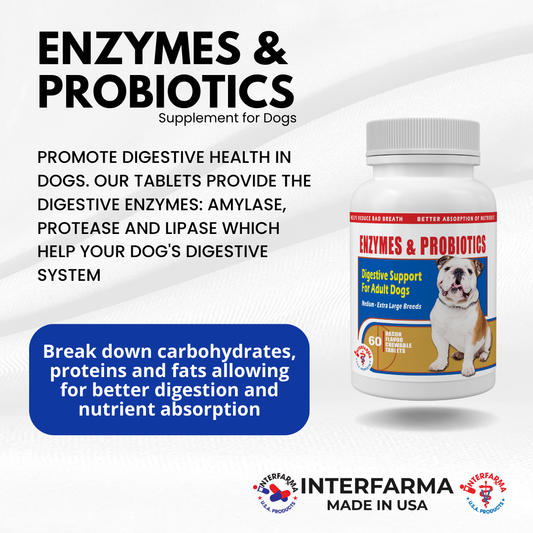 Enzymes & Probiotics (60 Tablets)