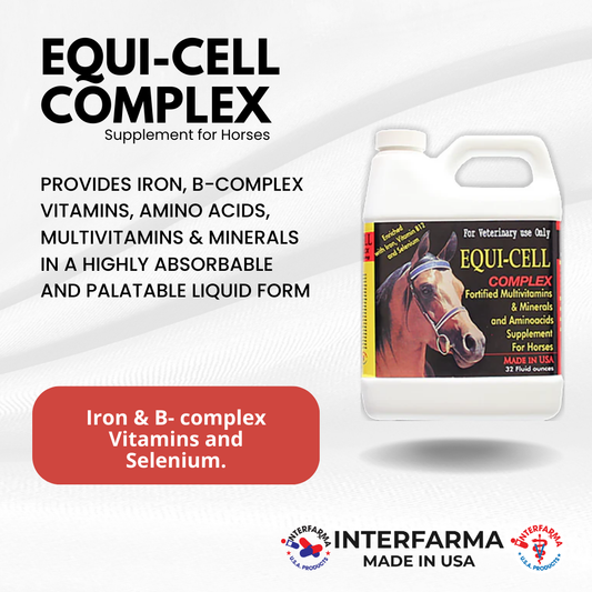 Equi-Cell Complex (32 Oz)