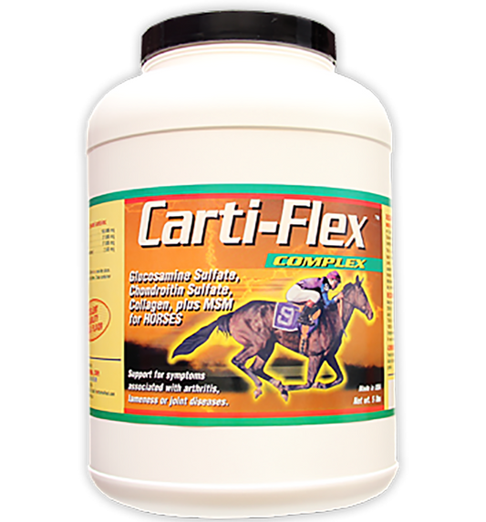 Glucosamine supplement for horses