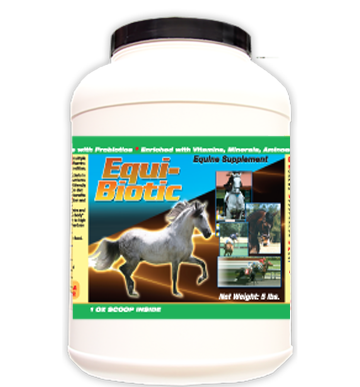 Probiotic supplement for Horses