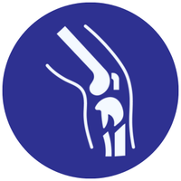 Joint and Bone Support