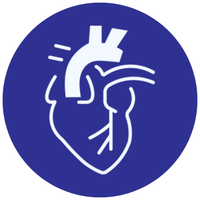 Cardiovascular Support