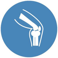 Joint and Bone Support