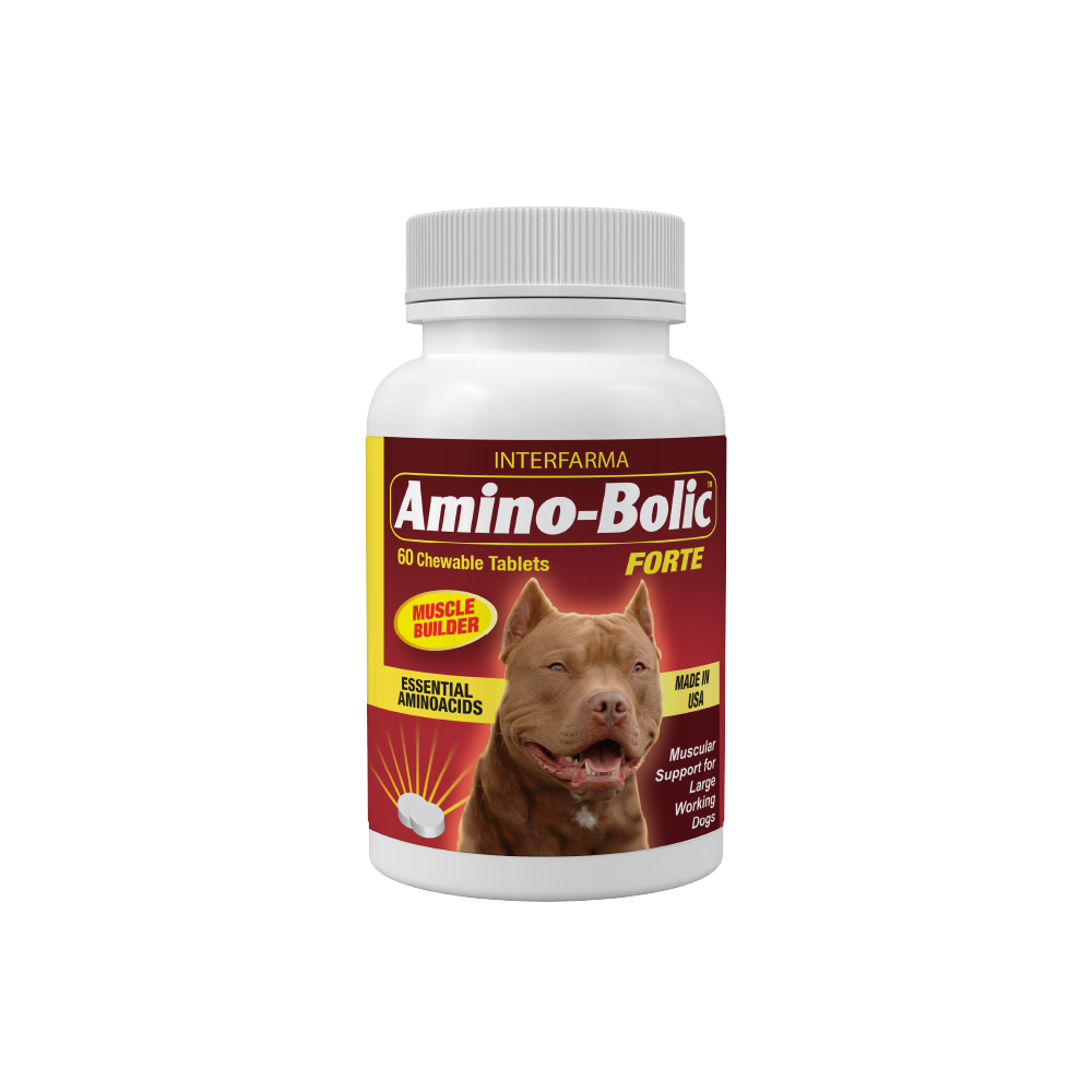 fat burners l carnitine BiotechUSA|Fat Burner|L-Carnitine 1000 30 capsules fat burners l carnitine BiotechUSA|Fat Burner|L-Carnitine 1000 30 capsules