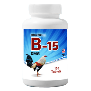 B-15 DMG