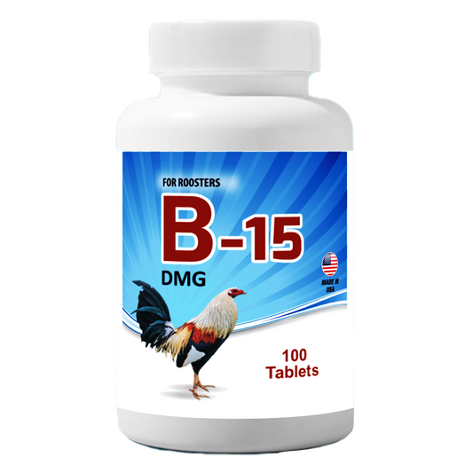 B-15 DMG