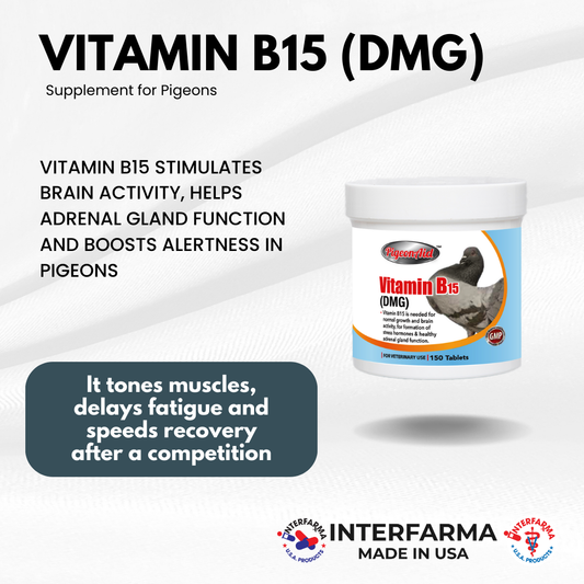 Vitamin B15 (DMG) (150 Tablets)