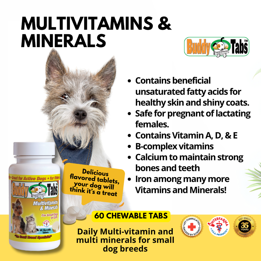 Vitamins Minerals for Small Dogs-Buddy Tabs-Interfarma Animal