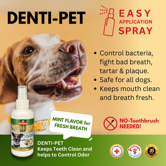 Denti-Pet (4 Oz)