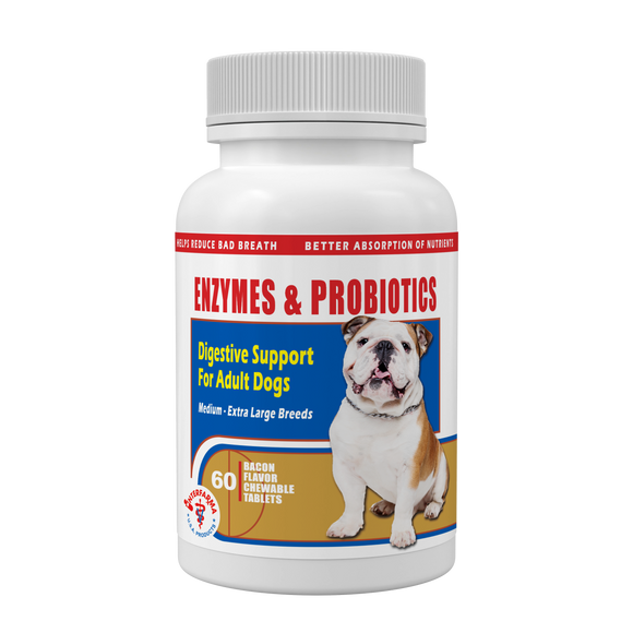Enzymes & Probiotics