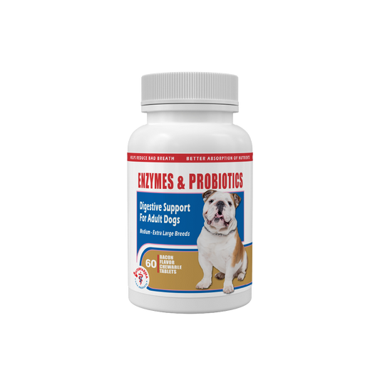 Enzymes_Probiotics-dogs-interfarma