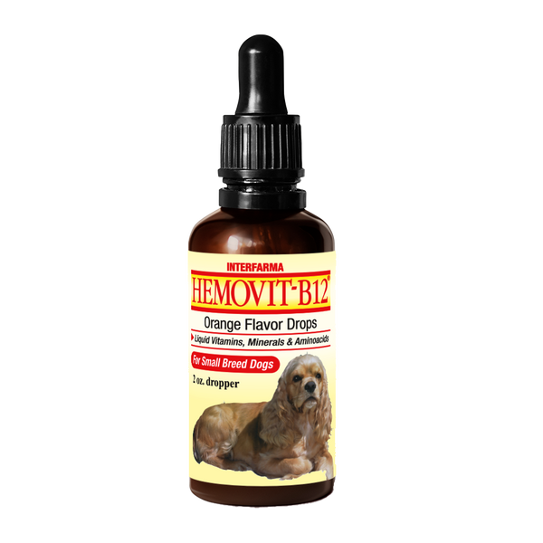 Liquid Multi-Vitamin for Healthy Puppy Growth - Interfarma Animal Health   Interfarma USA