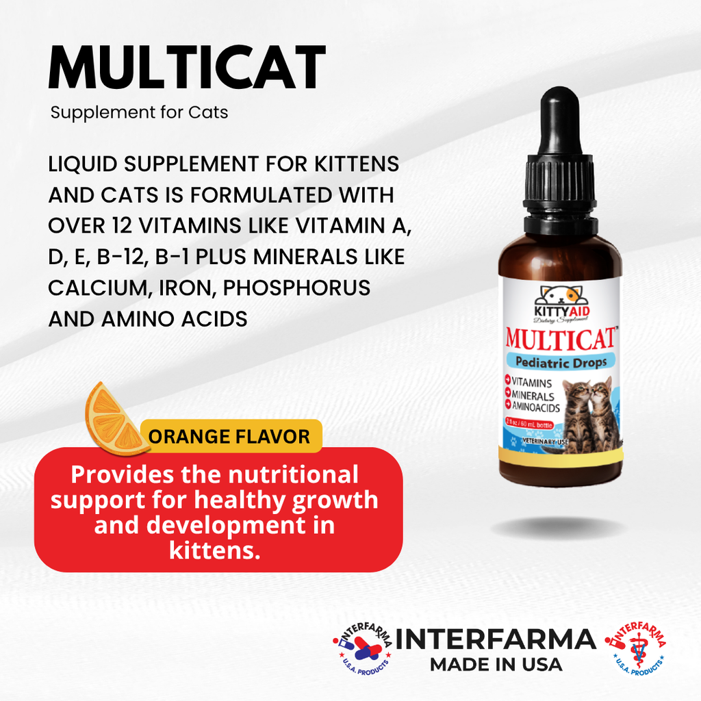 Multivitamin plus Lysine Supplement for Cats & Kittens- Interfarma Interfarma USA Multivitamin plus Lysine Supplement for Cats & Kittens- Interfarma Interfarma USA