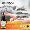 artri-cat-joint-support-supplement-interfarma