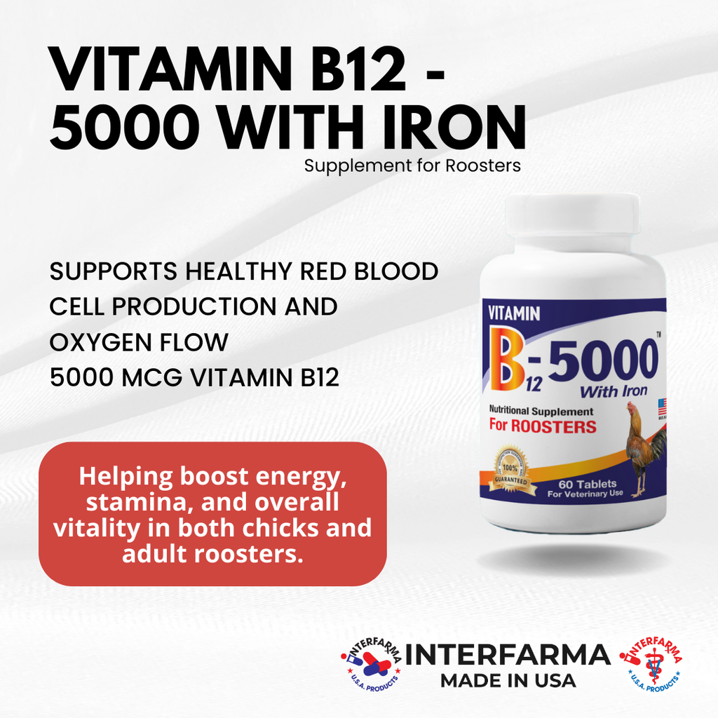 Vitamin B12 - 5000 with iron for Roosters- Interfarma Animal Health Interfarma USA Vitamin B12 - 5000 with iron for Roosters- Interfarma Animal Health Interfarma USA