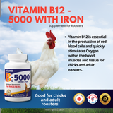 Vitamin B12 - 5000 with iron