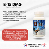 B-15 DMG