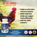 B-15 DMG