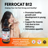 ferrocats for cats interfarma