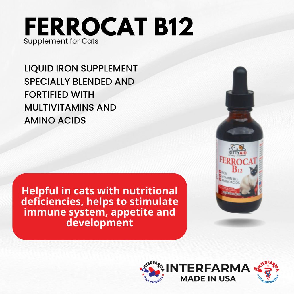Ferrocat B12 - Liquid Iron and Vitamins for Anemic Cats - Interfarma USA Ferrocat B12 - Liquid Iron and Vitamins for Anemic Cats - Interfarma USA