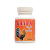galloK-vitamink-rooster-interfarma