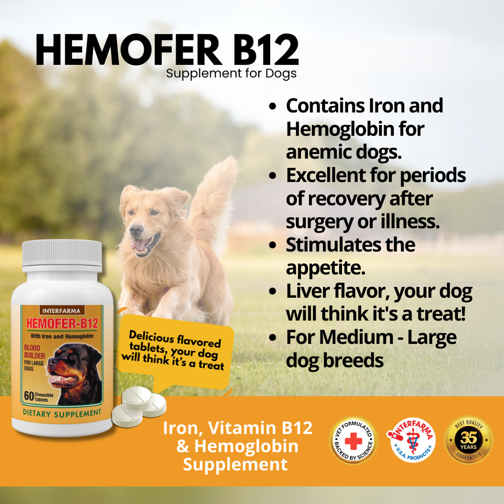 does b12 injections help with anemia for dogs Vitamin vitamins for dogs with anemia