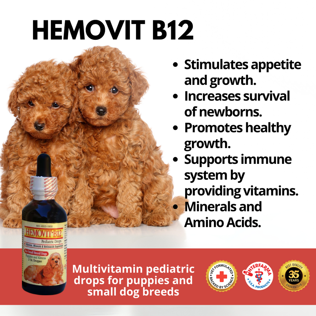 Liquid Multi-Vitamin for Healthy Puppy Growth - Interfarma Animal Health Interfarma USA Liquid Multi-Vitamin for Healthy Puppy Growth - Interfarma Animal Health Interfarma USA