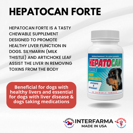 Hepatocan Forte (60 Tablets)