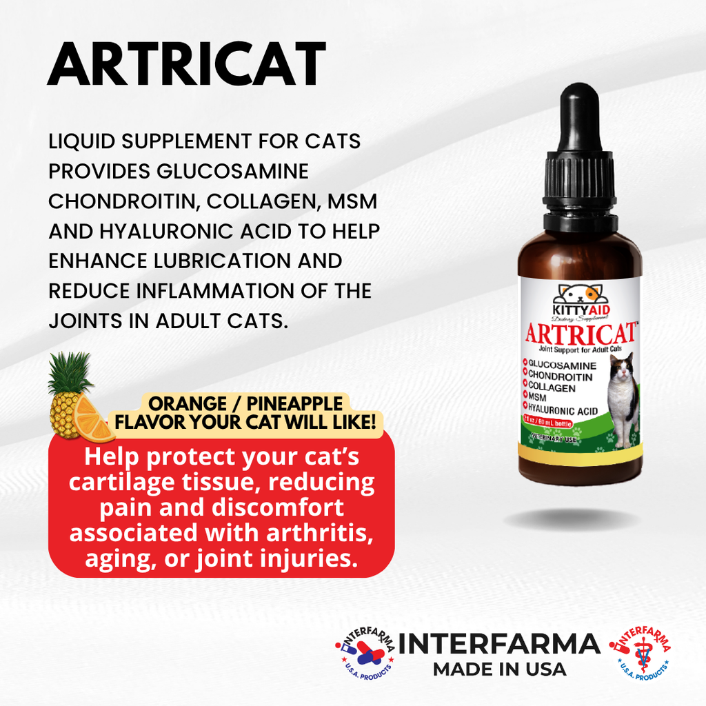 l-carnitine liquid supplement for cats CardioDol 250ml Cardiac / Heart Support and Dogs LIQUID-VET Feline Immune Booster Unflavored