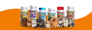 buddy tabs small dogs supplements interfarma