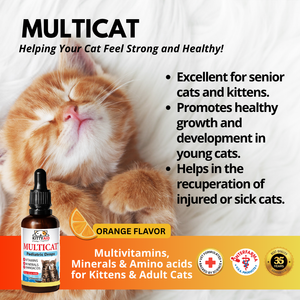 Ferrocat B12 - Liquid Iron and Vitamins for Anemic Cats