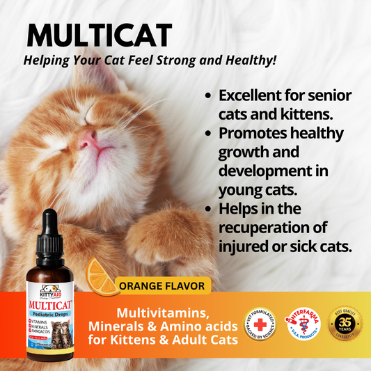 multi vitamin for cats- interfarma