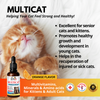 multi vitamin for cats- interfarma