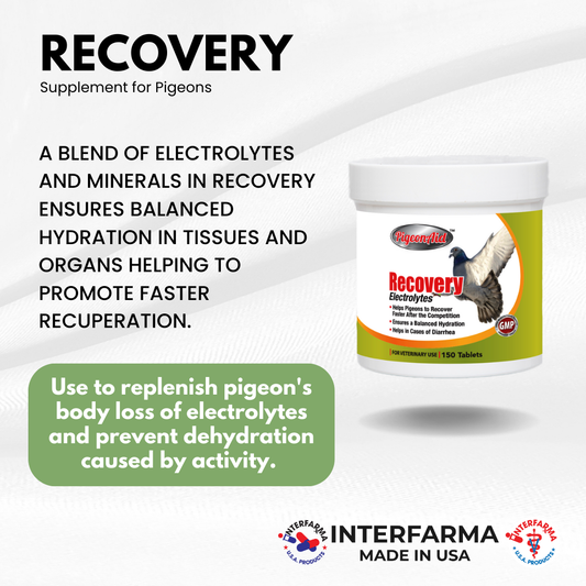 Recovery for Pigeons (150 Tablets)