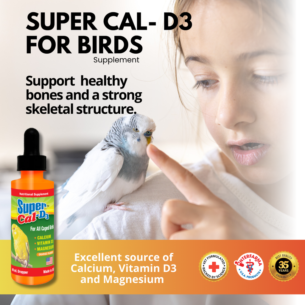 thumbnail image 2 of Morning Bird Stronger Bones & Eggshells 24 Oz Calcium Carbonate For Breeding And Non-Breeding Birds, Promotes Healthy Bone Growth In | Whizz 2 of 12