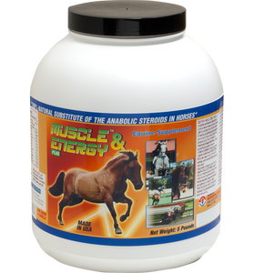 Horse Performance & Energy Supplement