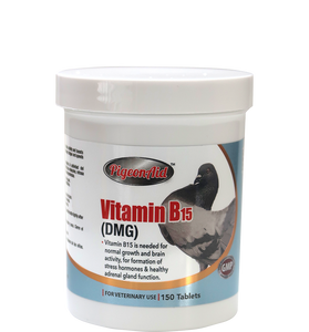 Vitamin B15 (DMG)